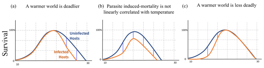 Conceptual Figure Showing increases in mortality with temperature
